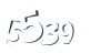 Input this protected code